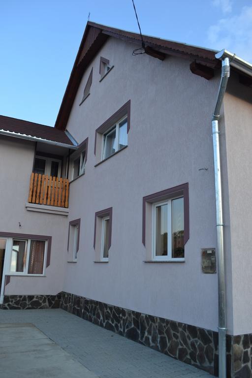 Ersa Panzio Hotel Bisericani  Exterior photo