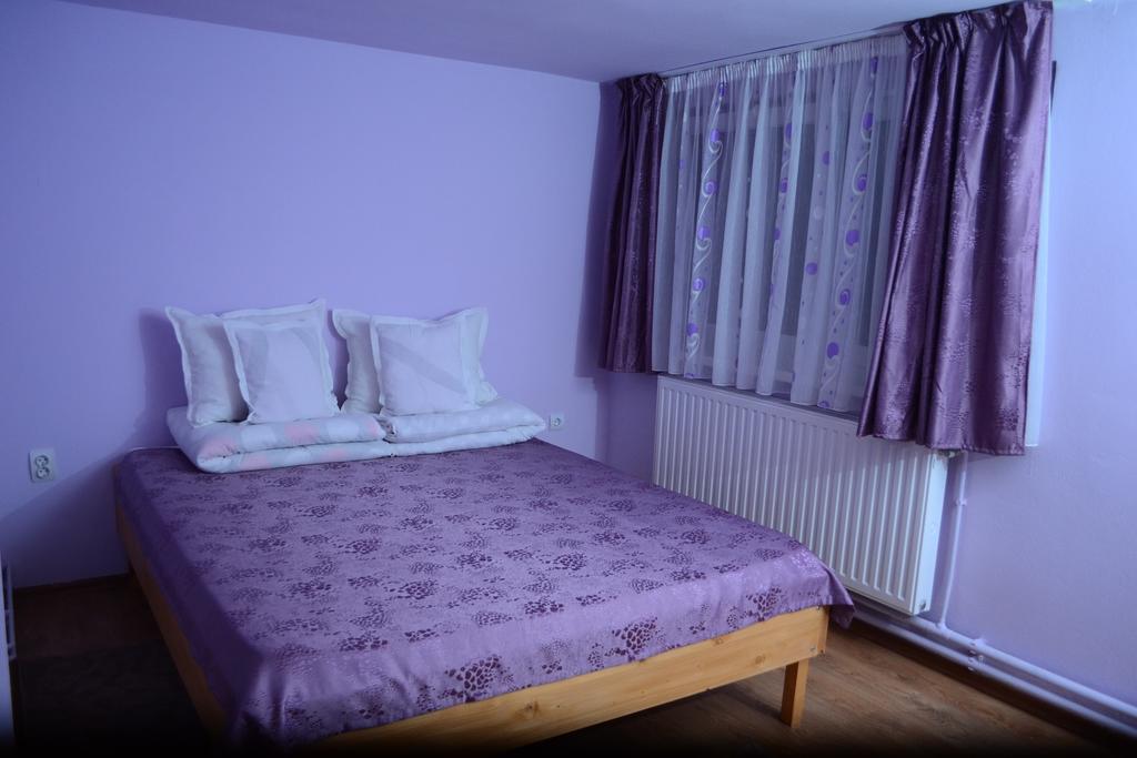 Ersa Panzio Hotel Bisericani  Room photo