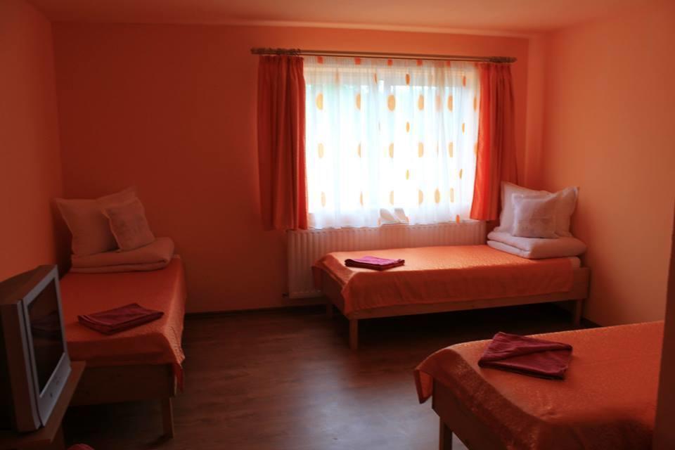 Ersa Panzio Hotel Bisericani  Room photo